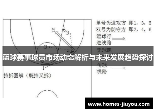 篮球赛事球员市场动态解析与未来发展趋势探讨