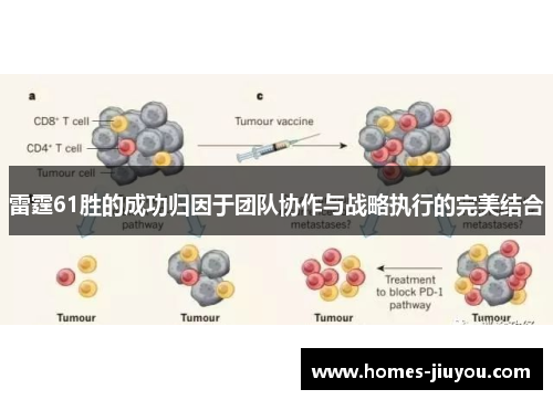雷霆61胜的成功归因于团队协作与战略执行的完美结合