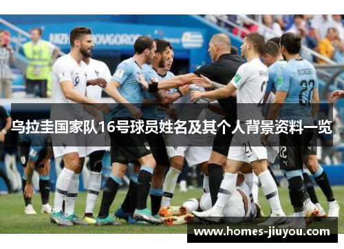 乌拉圭国家队16号球员姓名及其个人背景资料一览